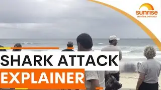 Three shark attacks in 48 hours close Sydney beaches | Sunrise