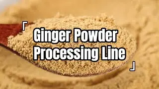 Full Ginger Powder Production Line | Washing &rarr; Cutting &rarr; Drying &rarr; Grinding &rarr; Packing