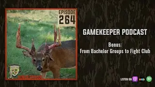 EP:264 | Bonus: From Bachelor Groups to Fight Club