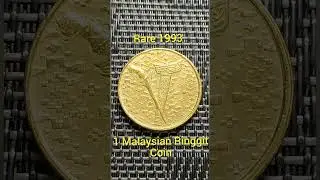 Double Rim 1993 1 Ringgit Coin