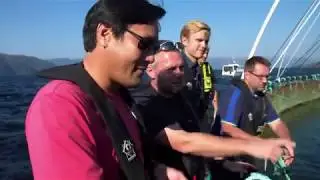 Chef Ming Tsai Talks Salmon with Award-Winning Chef Geir Skeie