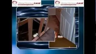 Flooded Basement in League City, Texas - Water Damage Local