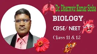 Fertilization Human reproduction