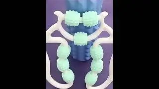 Muscle roller clamp massager for leg myofascial and fascial release #yogapractice