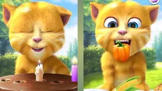 Talking Ginger&rsquo;s Funny Treasure Hunt Adventure 🏴&zwj;☠️😹