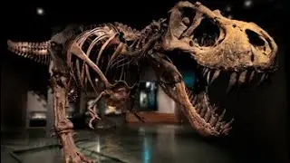 zoologisk museum in oslo | oslo norway
