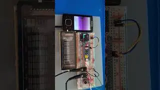 Preliminary test to realize an 8 bar audio spectrometer with a VFD display using FFT