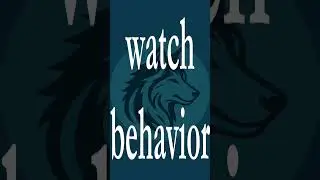 watch behavior  #motivation #dating #datingadvice