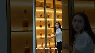 Handle-free design glass wine cabinets