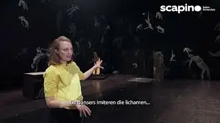 Клаудия Рохрмозер о видеопроекциях в Anima Obscura.