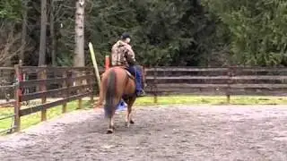 Keegan Mitchell's Basic Riding Skills