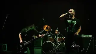 Anal Flesh Live Iquique 