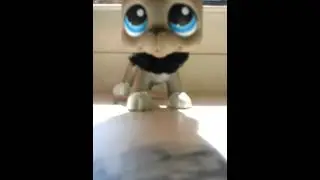 For lpsvampires1228 and thedarklps