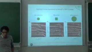 Joo-Von Kim Magnetization Dynamics in  Chiral Spin Textures