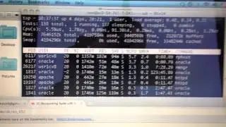 processor load