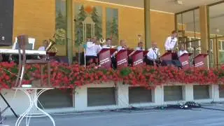Academic jazz band (7)