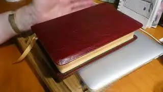 CBP water buffalo Turquoise hand-size ~ bible review
