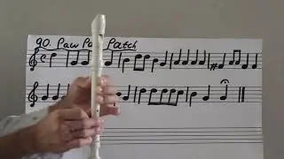 Grade 3 | Lesson 4 | 'Paw Paw Patch'  | Term 2 - 2023