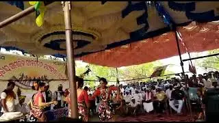 Koya Gondi cultural video. #koya video #gondi video