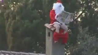 Hilarious Shitposts
