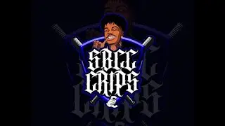 Fivem Highlights CRIPS X BDH #2 🐱&zwj;👤