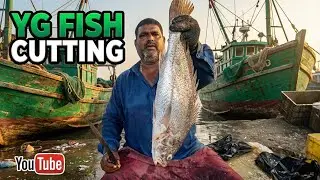 Kasimedu🔥 KODUVA FISH CUTTING#kasimeduspeedselvam #kasimedufishmarketlatest #viral #trending