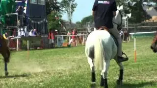 Mounted Games - European Championships 2013 Italy Open Team