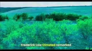 German Settlers in Texas: Building Paradise and Fighting Slavery #shorts