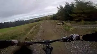 A Line at DH Farm November 2016