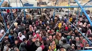 Concerns over humanitarian crisis in Gaza, global temperatures in 2024, and sea-life sustainability