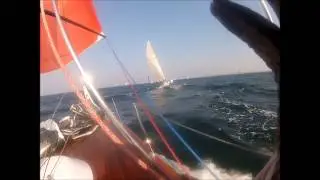 Carbon 40