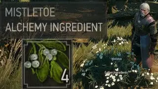 witcher 3 where to find mistletoe