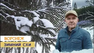 Зимний р-он СХИ, Воронеж 09.02.26г.