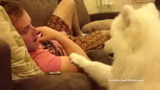 Hugging On Animals Compilation