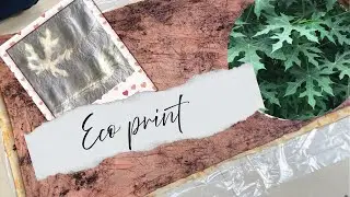Eco Print Steaming Technique: Medium Print Experiment with Natural Dyes