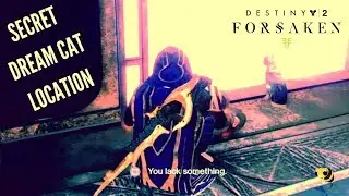 SECRET DREAMING CITY CAT LOCATION - Destiny 2 Forsaken