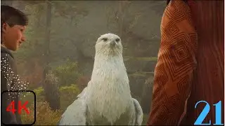 Beasts Class | Hogwarts Legacy PS5 4K UHD 60 FPS