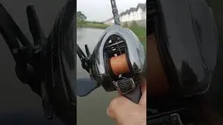 Antares DC MD Monster Drive #fishingvideo #shimanocuradodc #shimanoslxdc #shimanoreels #shot #shots