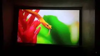 Uc80 projector test 4k video