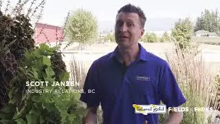 Fields to Forks - Island Eggs and K&W Farms in Abbotsford, BC