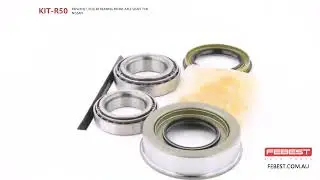 KIT-R50 REPAIR KIT, ROLLER BEARING FRONT AXLE SHAFT FOR NISSAN