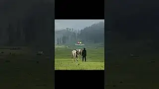 Sad instagram Reels quots Shayari Whatsapp Status #love #romenticshayeri #poetry #shayarkiyadein