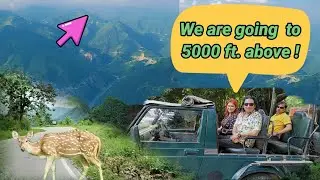 We are Going to 5000 ft Above | Mountain Drive at Jim Corbett | Jim Corbett National Park Uttrakhand