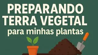 Preparando terra vegetal para minhas plantas