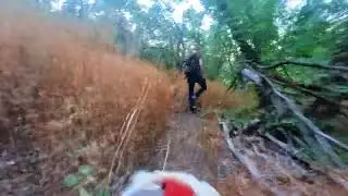@insta360 The Best K9 ( P.O.V.)