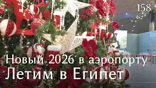 #158 Новый год в аэропорту Пулково. Летим в Египет за 18 тыс. Обман в аэропорту Шарм-эль-Шейх. 