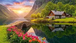 Soft music calms the nervous system and gently heals the heart 🌿🌿 Music heals the heart and mind
