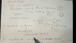 Muscle tissue-Biology grade12-chapter1-section1-with arabic explanation