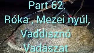 Part 61.R&oacute;ka, Mezei ny&uacute;l &eacute;s Vaddiszn&oacute; vad&aacute;szat. B.U.&Eacute;.K. 2026.