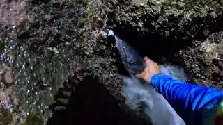 Barracuda gigante ataca mi señuelo (pesca nocturna)